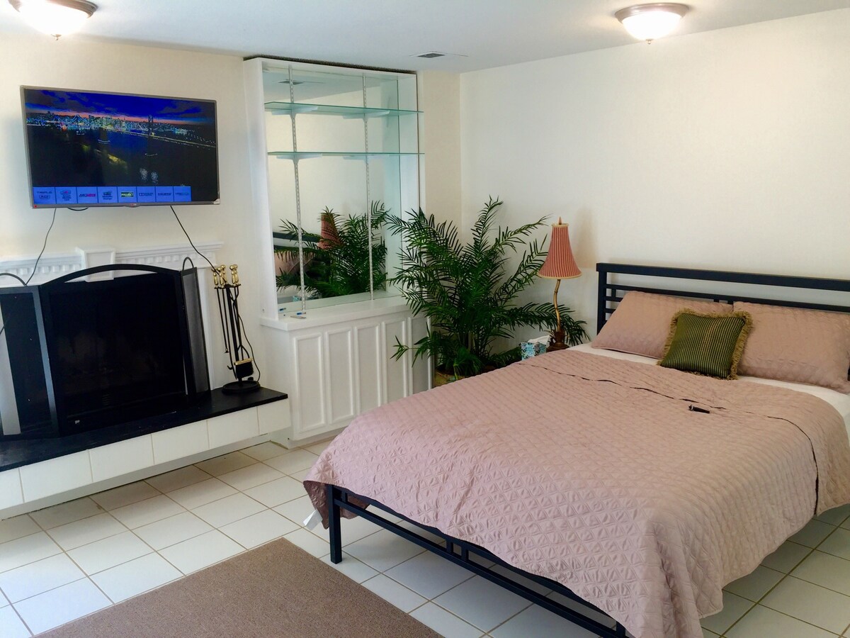 50 inch TV with Ruko TV. 