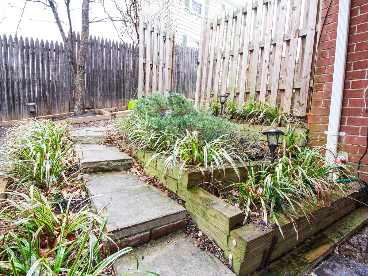 entry way through backyard 