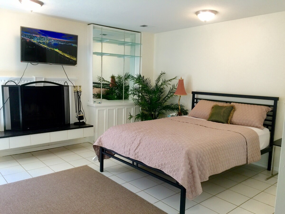 Comfy Queen Bed & Fireplace 